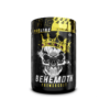 behemoth - fit360.ee