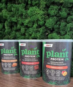 iconfit plant protein - fit360.ee
